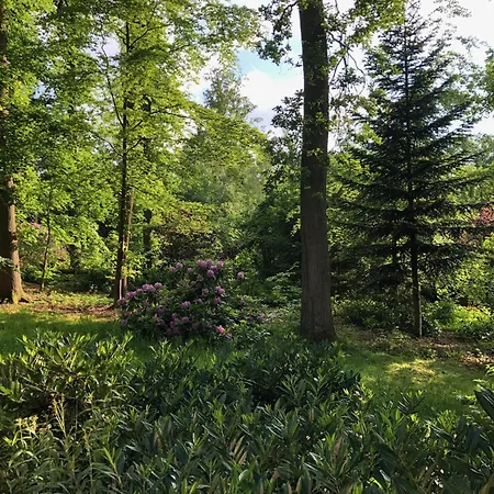 Prázdninový dům Waldhaus Möhnesee