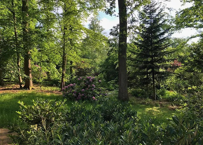 Vakantiehuis Waldhaus Möhnesee